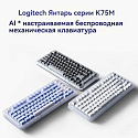 Клавиатура беспроводная Logitech Alto Keys K75M 920-013300 (белая)