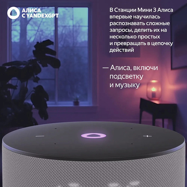 Умная колонка Яндекс Станция Мини 3, YNDX-00027GRY, серый