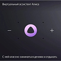 Умная колонка Яндекс.Станция Миди, модель: YNDX-00054GRY, серый