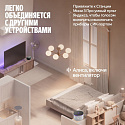 Умная колонка Яндекс Станция Мини 3 Про с часами, Алисой, YaGPT, Zigbee и Matter, YNDX-00059GRY, сер