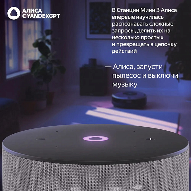 Умная колонка Яндекс Станция Мини 3, YNDX-00027GRY, серый