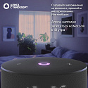 Умная колонка Яндекс Станция Мини 3 YNDX-00027BLK, черный