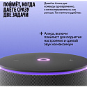 Умная колонка Яндекс Станция Мини 3 Про с Zigbee YNDX-00059BLK, черный