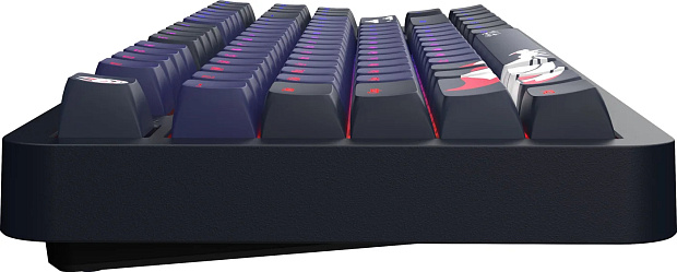 Клавиатура проводная Red Square Alumix TKL Classic Kitsune g3ms Aquamarine RSQ-20051 (черная)