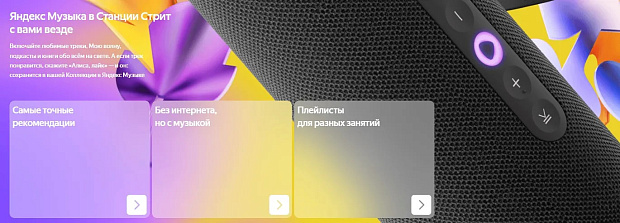 Умная портативная колонка Яндекс Станция Стрит YNDX-00030BLK, черный