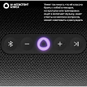 Умная портативная колонка Яндекс Станция Стрит YNDX-00030BLK, черный