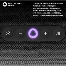 Умная портативная колонка Яндекс Станция Стрит YNDX-00030BLK, черный