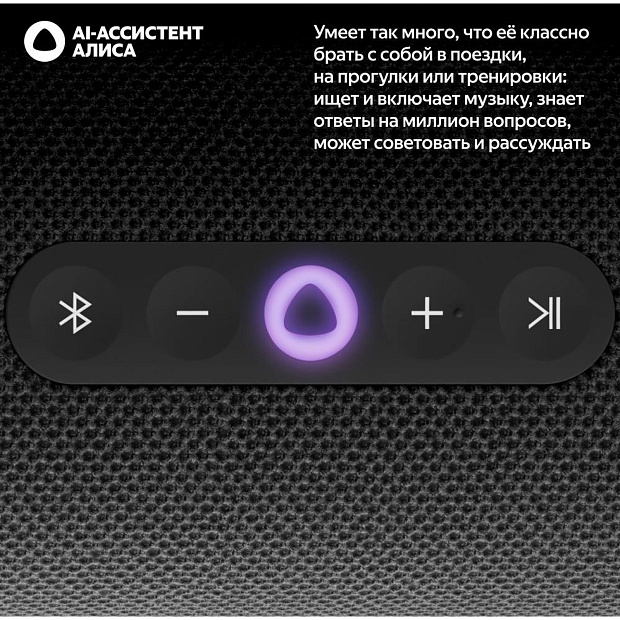 Умная портативная колонка Яндекс Станция Стрит YNDX-00030BLK, черный