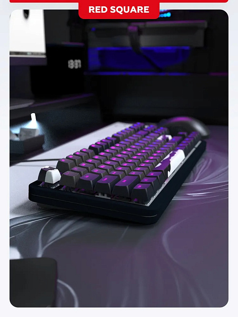 Клавиатура игровая проводная Red Square Alumix TKL Equinox v2 g3ms Sapphire RSQ-20065 (черная)
