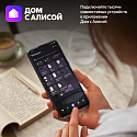 Колонка с умным дисплеем Яндекс Станция Дуо Макс YNDX-00055GRN (зеленая)